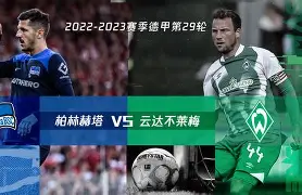 热那亚比赛结果